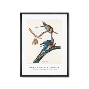 John James Audubon - Passenger Pigeon from Birds of America (1827)  | John James Audubon Wall Art Decor