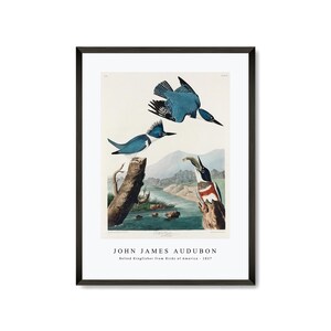 John James Audubon - Belted Kingfisher from Birds of America (1827) | John James Audubon Wall Art Decor