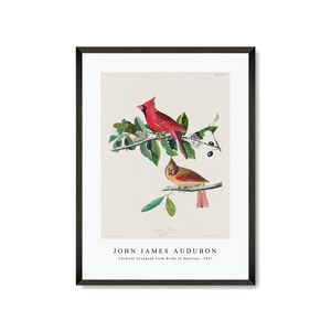 John James Audubon - Cardinal Grosbeak from Birds of America (1827) | John James Audubon Wall Art Decor