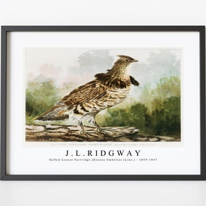 J.L. Ridgway Ruffed Grouse Partridge Bonasa Umbellus Linn. 1859-1947 J.L. Ridgway Wall Art Decor image 1