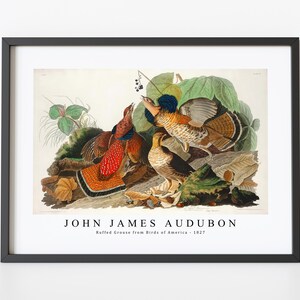John James Audubon - Ruffed Grouse from Birds of America (1827) | John James Audubon Wall Art Decor