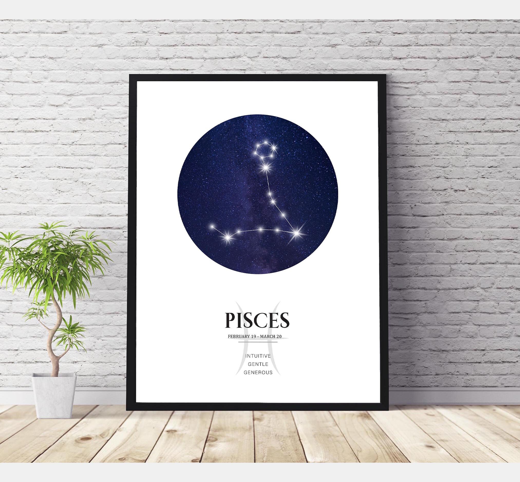 ZODIAC BEAUTIES PISCES(うお座) 純銀 メダル 2019 Pisces: Zodiac Series - Pure Silver Coin made with Swarovski