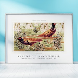 Maurice Pillard Verneuil Stampa Scarica File digitale - Faisans ordinaires da (1897) Wall Art, Frame TV Art Prints, Wall Decor, Download