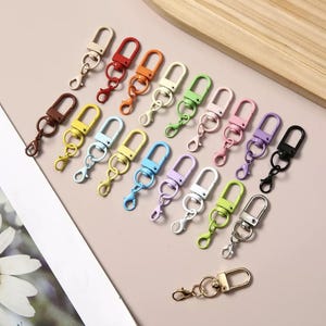 Könnte beinhalten: Eine Sammlung von einundzwanzig drehbaren Karabinerverschlüssen aus Metall in verschiedenen Farben, darunter Rot, Orange, Gelb, Grün, Blau, Lila, Rosa, Weiß, Schwarz, Braun, Beige und Metallic-Gold, jeweils mit einem kleinen Ring.