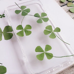 20 peças flores secas prensadas trevo de quatro folhas plantas resina epóxi enchimento aproximadamente 20 mm.