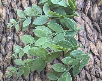 Scelti di verde, stelo singolo, piccoli steli di foglie di alloro, steli di bosso, verde finto per foto, lavorazione del verde, riempitivo di verde per vassoi a più livelli