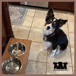 Farmhouse, Modern Raised Dog Bowl Stand, Stainless Steel Pet Bowl for Food and Water, Elevated Cat Food Station, Unique Dog Supplies, Pets
