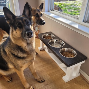May include: Two German Shepherd dogs stand near a raised pet feeding station featuring a dark stained wooden top and a white base. The station holds three stainless steel bowls, two filled with dry kibble and one containing water.