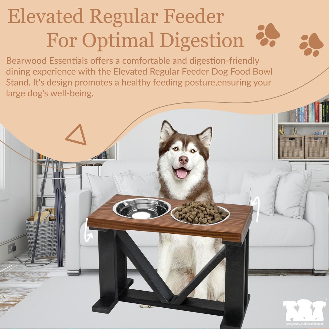 Farmhouse, Modern Raised Dog Bowl Stand, Stainless Steel Pet Bowl for