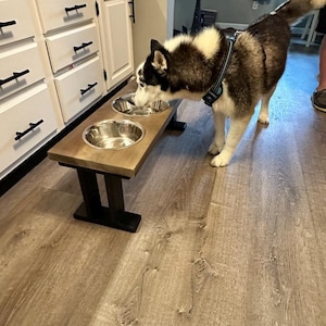 Elevated Regular Feeder 2 Bowl - New Design - Dog Feeder - Wooden Base - Dog Gift