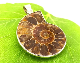 Pendant for necklace or choker - gemstone pendant - ammonite petrification silver - large pendant - yoga jewelry