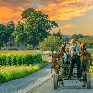 Amish Life In Lancaster County - A boxed set of 24 notecards and envelopes