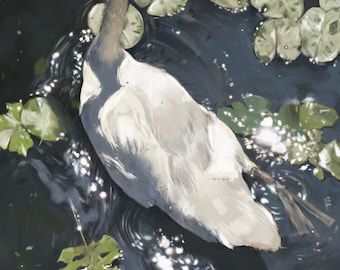 Swan Art | Art print | Swan in Water