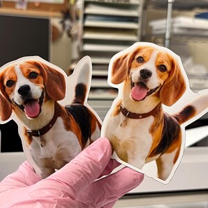 May include: Two die-cut stickers featuring a beagle dog with brown, white, and black fur. The dog has a brown collar with a small tag, floppy ears, and an open mouth with a pink tongue visible. The stickers have a white border.