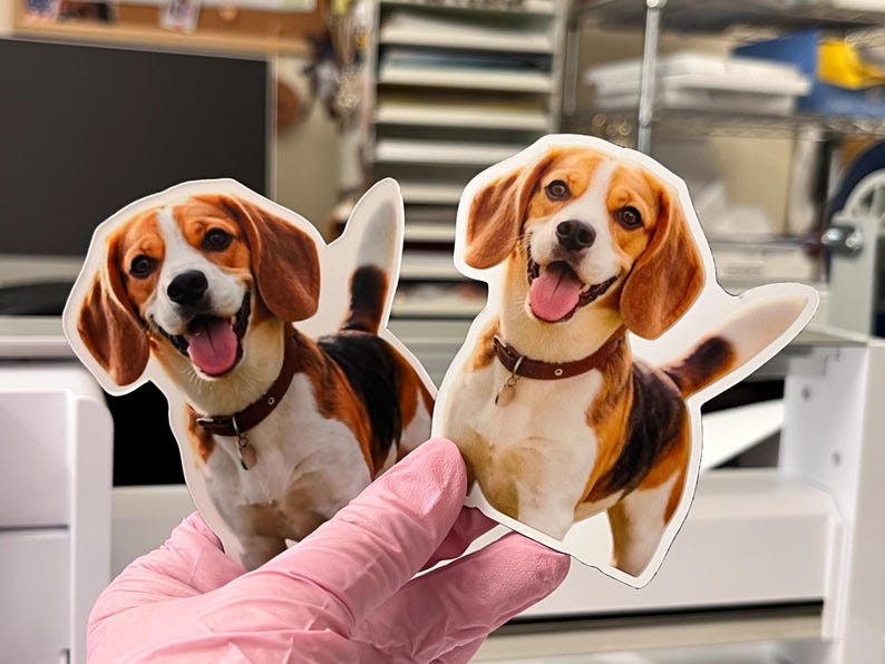 May include: Two die-cut stickers featuring a beagle dog with brown, white, and black fur. The dog has a brown collar with a small tag, floppy ears, and an open mouth with a pink tongue visible. The stickers have a white border.