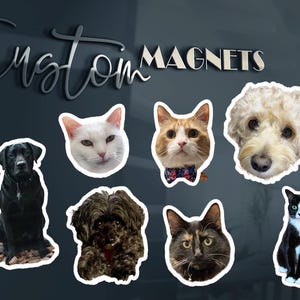 May include: Custom magnets featuring die-cut portraits of various pets, including a black Labrador, a white cat, an orange and white cat with a bow tie, a curly-haired dog, a small dark dog, a tortoiseshell cat, and a black and white cat.
