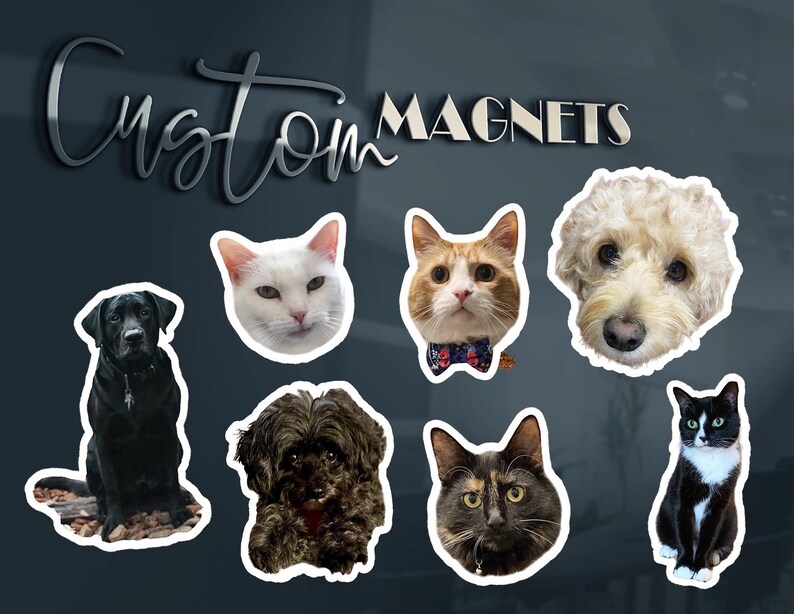 May include: Custom magnets featuring die-cut portraits of various pets, including a black Labrador, a white cat, an orange and white cat with a bow tie, a curly-haired dog, a small dark dog, a tortoiseshell cat, and a black and white cat.