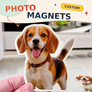 May include: A custom photo magnet featuring a beagle dog with brown, white, and black fur, wearing a brown collar. The text PHOTO MAGNETS and CUSTOM is visible at the top of the image. The magnet is die-cut to the shape of the dog.