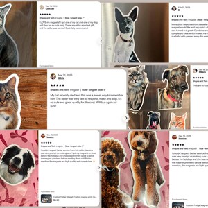May include: A collection of custom-shaped fridge magnets featuring photographic portraits of various cats and dogs. Each magnet displays a high-resolution image of a pet, including breeds like a poodle, border collie, and tabby cat.