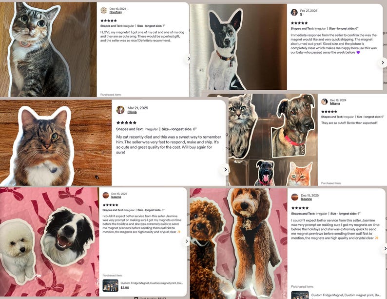 May include: A collection of custom-shaped fridge magnets featuring photographic portraits of various cats and dogs. Each magnet displays a high-resolution image of a pet, including breeds like a poodle, border collie, and tabby cat.