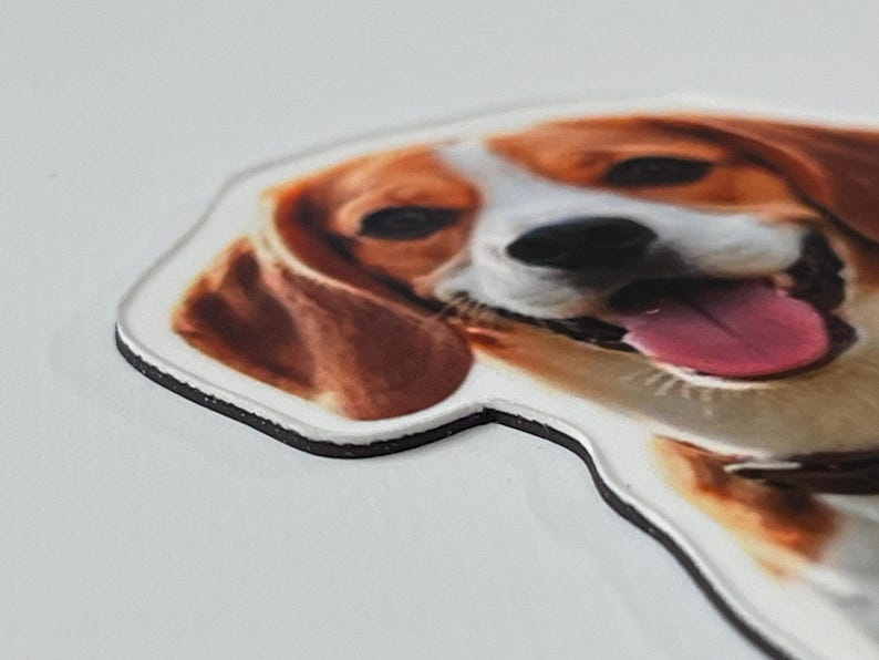 May include: A die-cut magnet featuring a realistic, high-resolution color photograph of a beagle dog's face. The dog has brown and white fur, dark eyes, and an open mouth with a visible pink tongue. The magnet has a thick black edge.