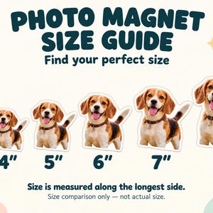 May include: A photo magnet size guide featuring six beagle dog images in increasing sizes from 3 inches to 8 inches. The text reads PHOTO MAGNET SIZE GUIDE, Find your perfect size, and Size is measured along the longest side.