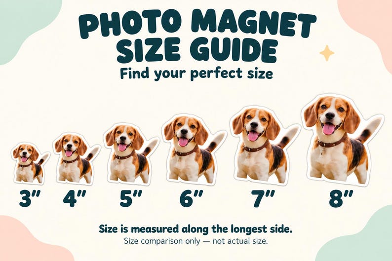 May include: A photo magnet size guide featuring six beagle dog images in increasing sizes from 3 inches to 8 inches. The text reads PHOTO MAGNET SIZE GUIDE, Find your perfect size, and Size is measured along the longest side.