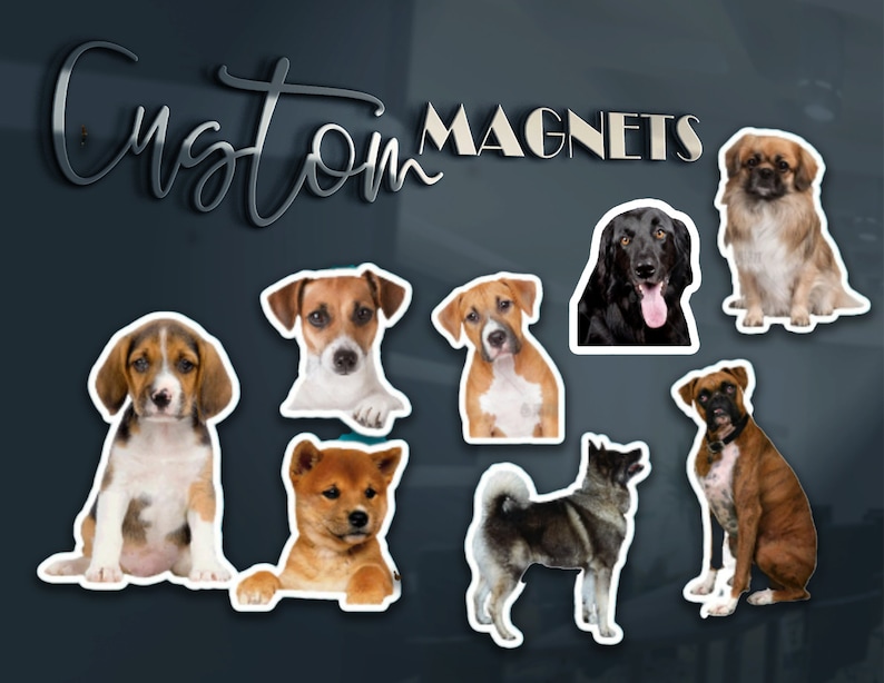 #DogMagnets
#DieCutMagnets
#FridgeMagnets
#PhotoFridgeMagnets
#CustomMagnet
#PersonalizedMagnet
#CustomMagnetPrint
#CustomPhotoPrint
#CustomPetPhoto
#CustomGift
#CustomShapeMagnets
#PartyFavorMagnet
#BabyShowerMagnet
#BirthdayPartyFavors