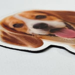 May include: A die-cut magnet featuring a realistic, high-resolution color photograph of a beagle dog's face. The dog has brown and white fur, dark eyes, and its tongue is hanging out. The magnet has a distinct white border and a black edge.