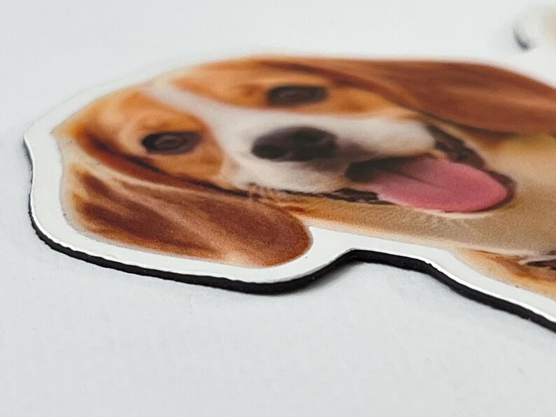 May include: A die-cut magnet featuring a realistic, high-resolution color photograph of a beagle dog's face. The dog has brown and white fur, dark eyes, and its tongue is hanging out. The magnet has a distinct white border and a black edge.