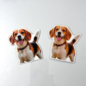 May include: Two die-cut stickers featuring a beagle dog with brown, black, and white fur. The dog has floppy ears, a brown collar with a small tag, and an open mouth with a pink tongue visible. The stickers are identical in design.