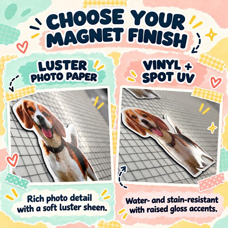 May include: A comparison graphic titled CHOOSE YOUR MAGNET FINISH showing two beagle magnets. One is LUSTER PHOTO PAPER with rich detail and soft sheen. The other is VINYL + SPOT UV with water-resistant properties and raised gloss accents.
