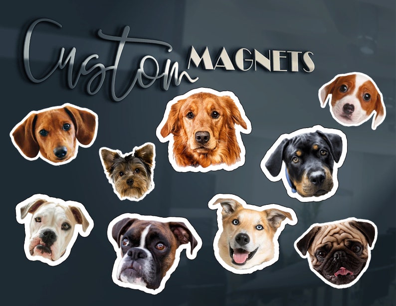 #DogMagnets
#DieCutMagnets
#FridgeMagnets
#PhotoFridgeMagnets
#CustomMagnet
#PersonalizedMagnet
#CustomMagnetPrint
#CustomPhotoPrint
#CustomPetPhoto
#CustomGift
#CustomShapeMagnets
#PartyFavorMagnet
#BabyShowerMagnet
#BirthdayPartyFavors