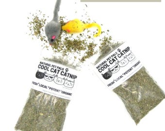 Juego de juguetes de hierba gatera orgánica: bolsa de 56 g + ratones de peluche - Natural Pet Pals