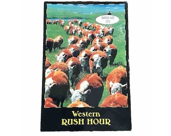 Western Rush Hour Postcard Western Souvenirs Rapid City, SD