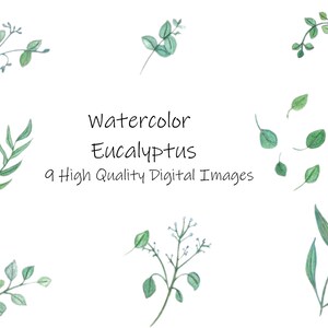 Acuarela Eucalyptus Clipart- Acuarela botánica PNG Instant Download- Invitación de boda Floral-Bouquet-green leaf ramas y tallos