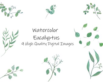 Watercolor Eucalyptus Clipart- Botanical Watercolor PNG Instant Download- Wedding invitation Floral-Bouquet-green leaf branches and Stems