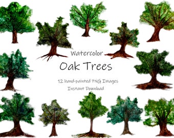 Watercolor Oak Tree Clipart-Nature clipart-Forest Clipart-PNG Instant Download-Digital Printable Oak Trees