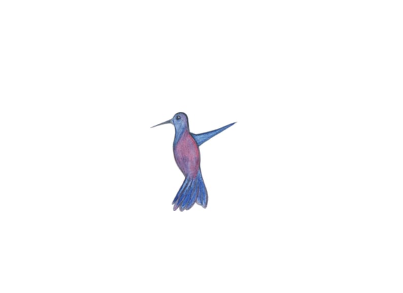 Hand painted digital PNG/'s-instant download-multicolored birds-nature Watercolor Hummingbird Clip Art-colorful hummingbirds