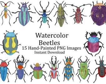 Watercolor Beetles-Insects-Bugs-15 Colorful Instant Download PNG Images