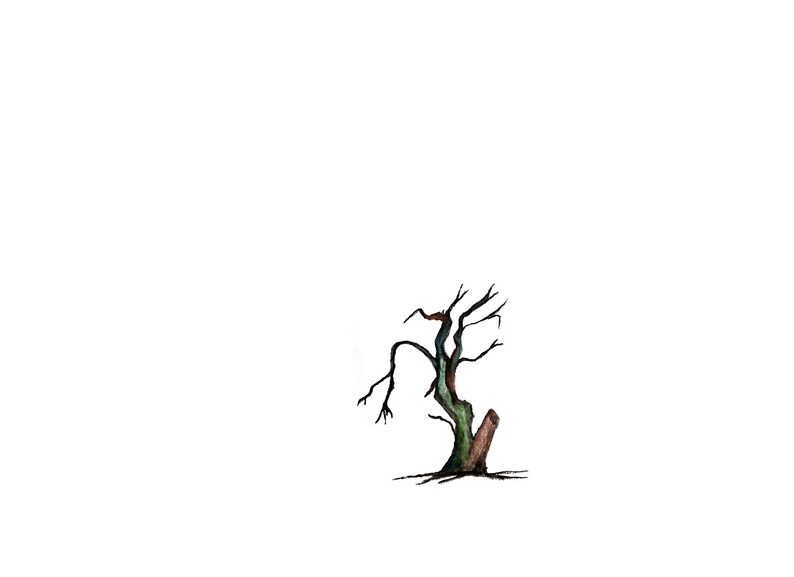 May include: A watercolor painting of a bare tree with a thick, green trunk and brown branches. The tree is set against a white background.
