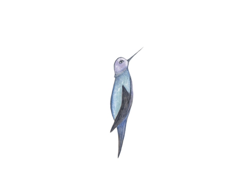 Hand painted digital PNG/'s-instant download-multicolored birds-nature Watercolor Hummingbird Clip Art-colorful hummingbirds