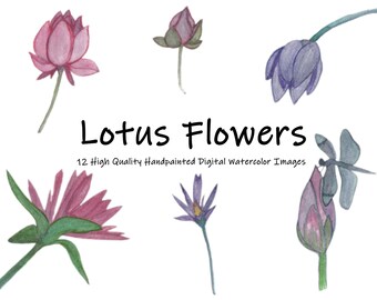 Watercolor Lotus Waterlily Flowers-Handpainted WaterColor-Digital Flower Clip Art- 12 Images for Instant Download-botanical