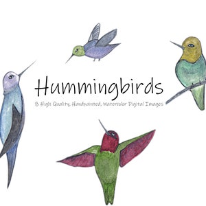 Watercolor Hummingbird Clip Art-colorful hummingbirds, Hand painted digital PNG's-instant download-multicolored birds-nature