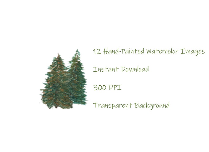 Download Watercolor Pine Trees Clipart Christmas Clipart Winter Wedding Conifers Watercolor Forest Digital Instant Download Clip Art Art Collectibles
