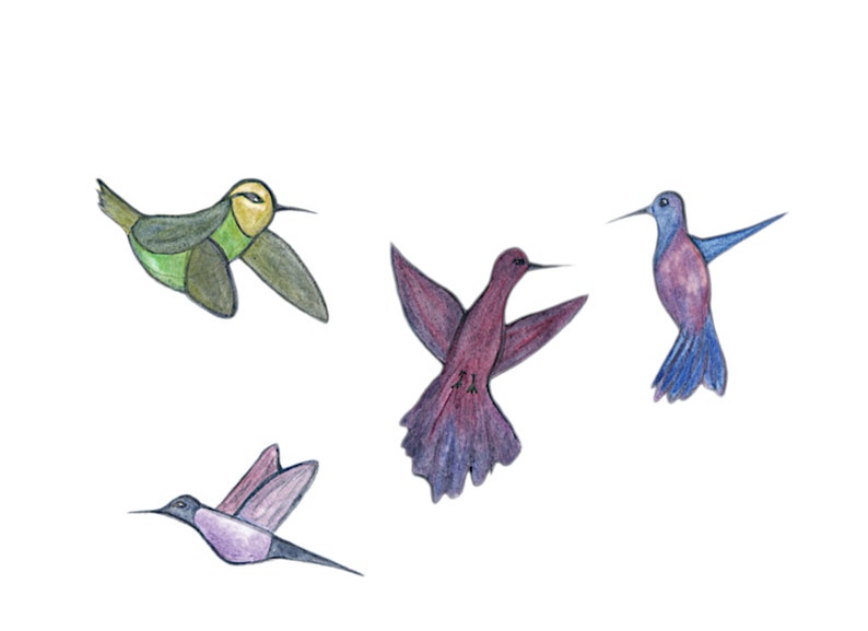 Hand painted digital PNG/'s-instant download-multicolored birds-nature Watercolor Hummingbird Clip Art-colorful hummingbirds
