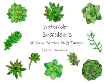 Sukkulenten Clipart PNG Instant Download-floral Hochzeit Einladung-Wüste Pflanzen-Südwesten-rustikale-botantikal-Boho-Kaktus-Instant Download PNG