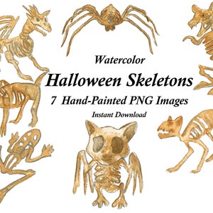 Aquarelle Halloween Squelettes-7 peint à la main PNG Téléchargement instantané Clipart Images
