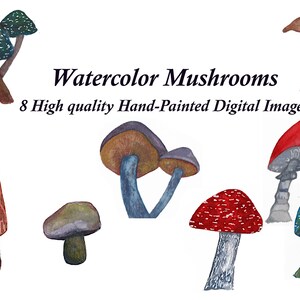 Clipart de cogumelos aquarela-Cogumelos da floresta-Cogumelo PNG-floresta rústica- Cogumelo comestível selvagem-Fungos aquarela-Fungo clipart