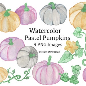 Pode incluir: Nove ilustrações de aquarela de abóboras pastel em vários tons de rosa, amarelo, cinza e laranja. As abóboras são representadas com videiras e folhas, criando um design outonal.